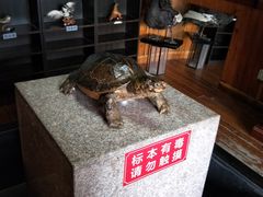 -南京金牛湖风景区