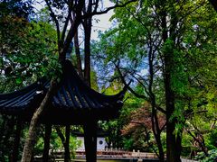 -汇龙潭