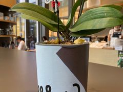 -Seesaw Coffee(苏州中心店)