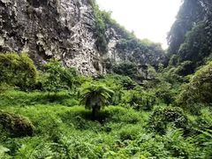 -百魔洞景区