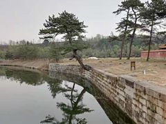 -清西陵