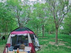 -天津东丽湖风景区