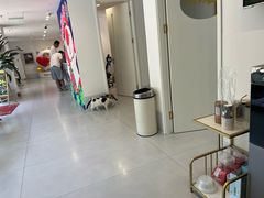 -喜多萌中农锦绣动物医院24H·猫科·牙科MRI·CT