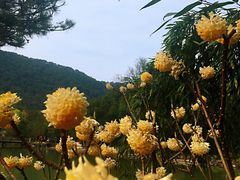 -兰亭风景区