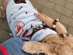 -北京赛佳动物医院