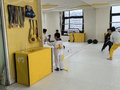 -勇气斑马·巴西柔术&跆拳道(浦东三林店)