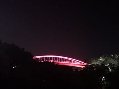 -金鸡山公园