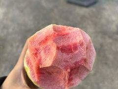 -广州白江湖森林公园