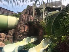 -三亚湾红树林度假世界(木棉酒店)
