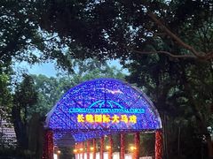 -广州长隆国际大马戏