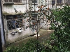 -中国地质大学逸夫博物馆