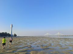 -北海金海湾红树林生态旅游区