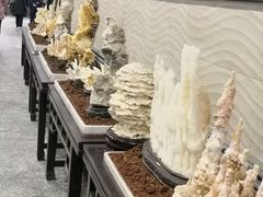 -游龙石文化科普馆