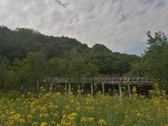 -苏州上方山国家森林公园