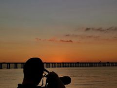 -宝安西湾红树林湿地公园