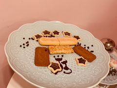 -三花喵·撸猫购宠·宠物生活馆(虹桥南丰城店)