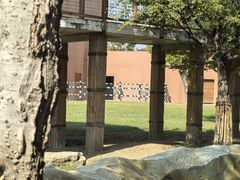 -祥源·阜阳生态乐园