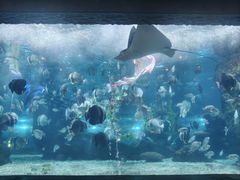 -南昌海洋公园