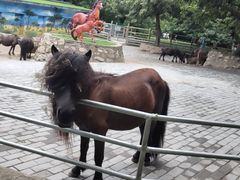 -西安秦岭野生动物园