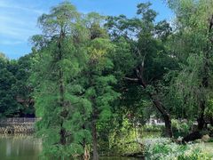 -人民公园(罗湖区)