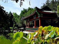 -宣武艺园
