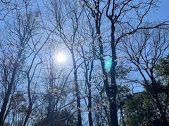 -九曜山