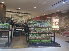 -凯德MALL(望京店)