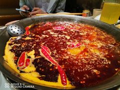 -朱氏胖子烂火锅(洪崖洞店)