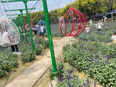 -广东花都香草世界旅游度假区
