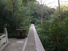 -镇江市南山风景名胜区竹林景区