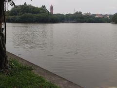 -三水森林公园