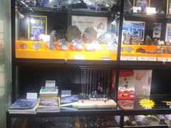 -志强陨石馆(双季花艺店)