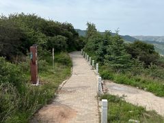 -云顶山风景区
