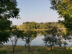 -东郊湿地公园