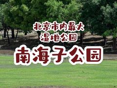 -南海子公园