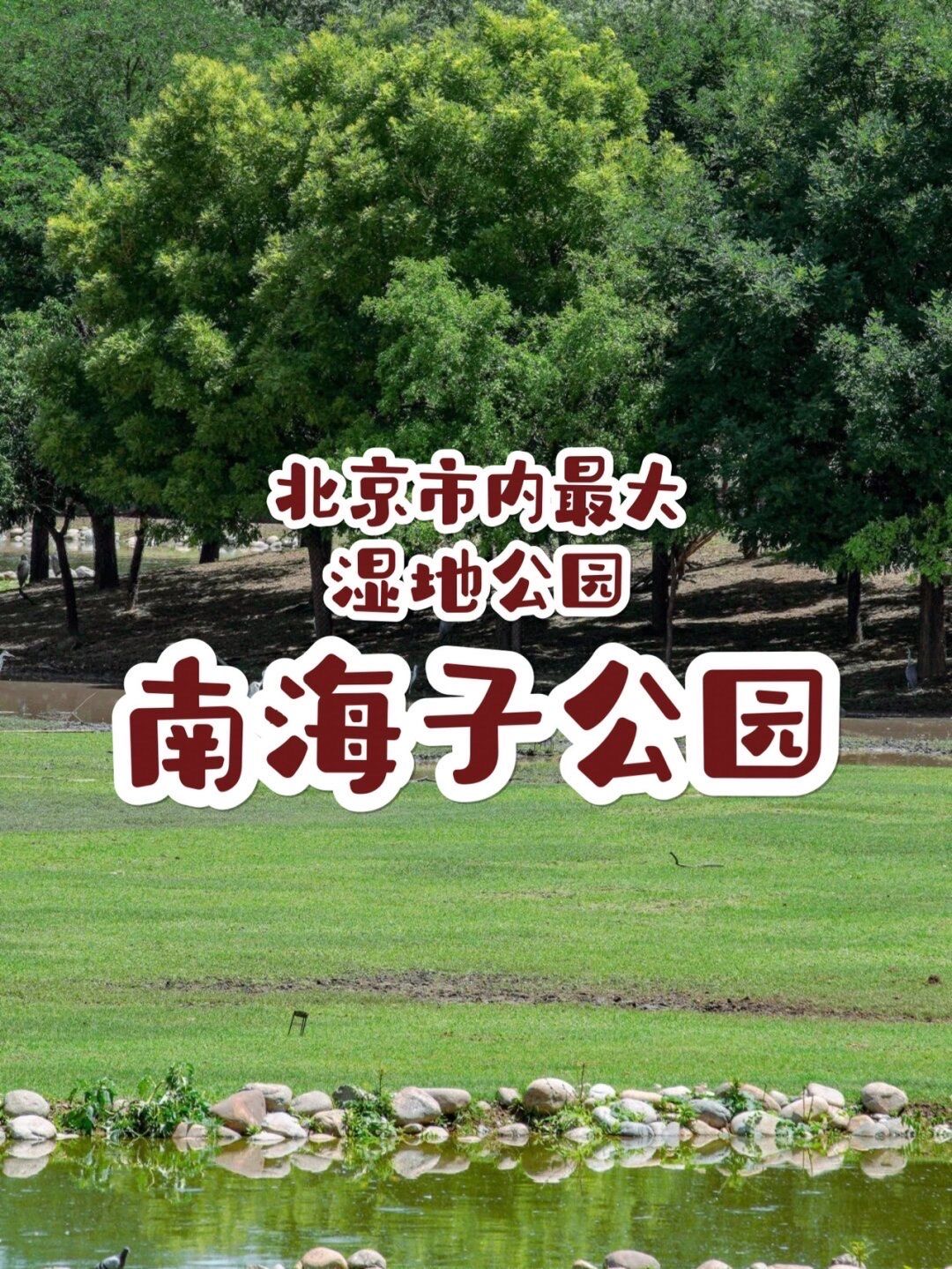 北京市内最大的湿地公园