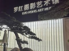 -罗红摄影艺术馆