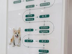-瑞派康怡24h宠物医院·犬猫医疗中心·微创绝育(瑞景分院)