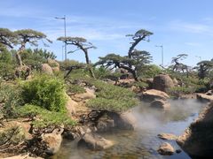 -罗红摄影艺术馆