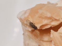 -禾斗海鲜自助(城阳宝龙店)
