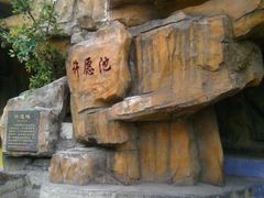 android_upload_pic-哈尔滨文化公园