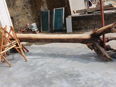 IMG_0580-诸暨市岭北镇仕新农庄