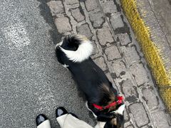-青岛德国总督楼旧址博物馆