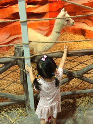 -酷嗒动物文化乐园(cutezoo西溪乐天城店)