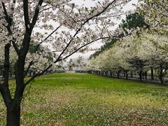 -同济大学(嘉定校区)