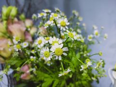 -何兮花店·气球派对鲜花店(马桥银春路万科城店)