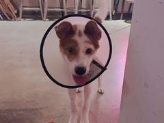 -埋位小酒馆(东城店)