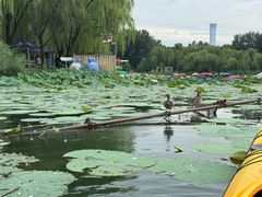 -WhaleSports户外水上运动俱乐部(朝阳公园店)