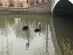 -南翠屏公园