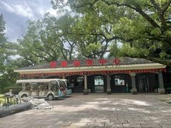 -江心屿景区